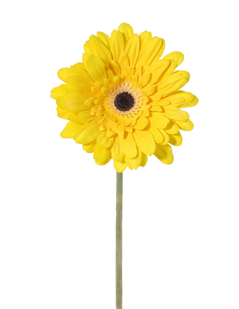 Flor de gerbera 2