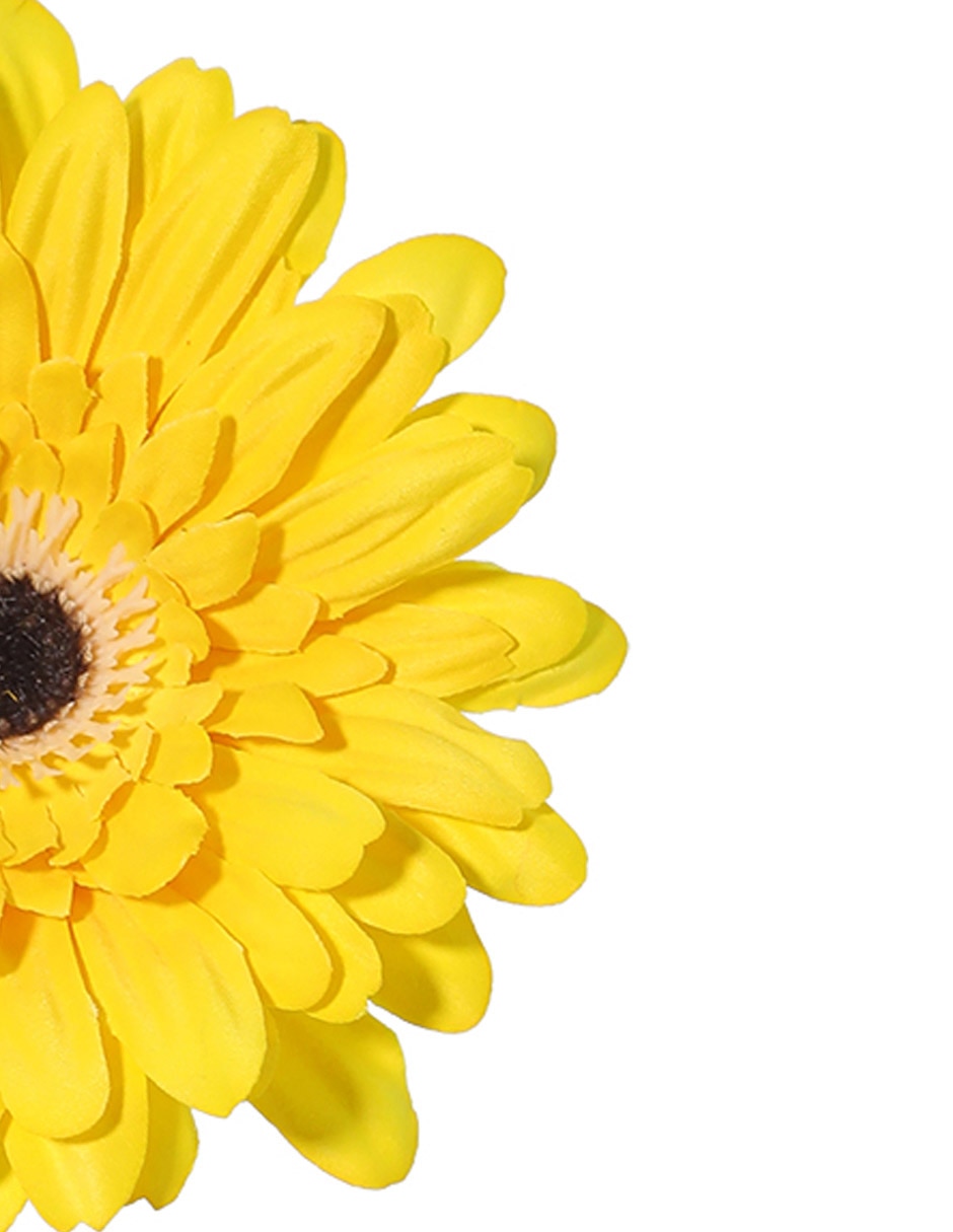 Flor de gerbera 3