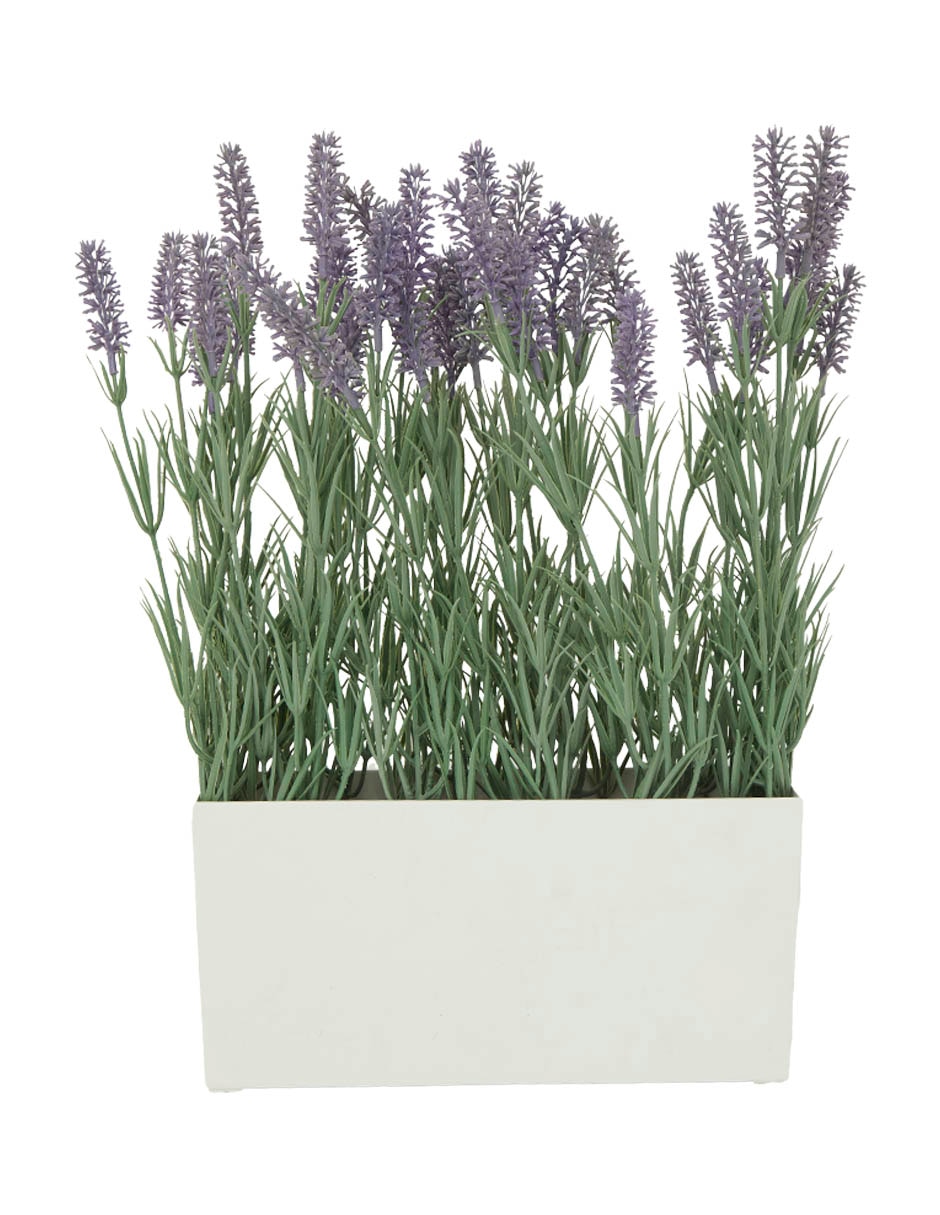 PREELABORADO LAVANDA, M, BLANCO