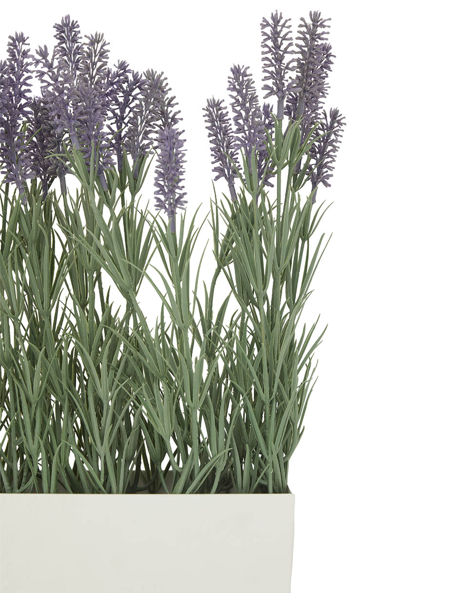 PREELABORADO LAVANDA, M, BLANCO