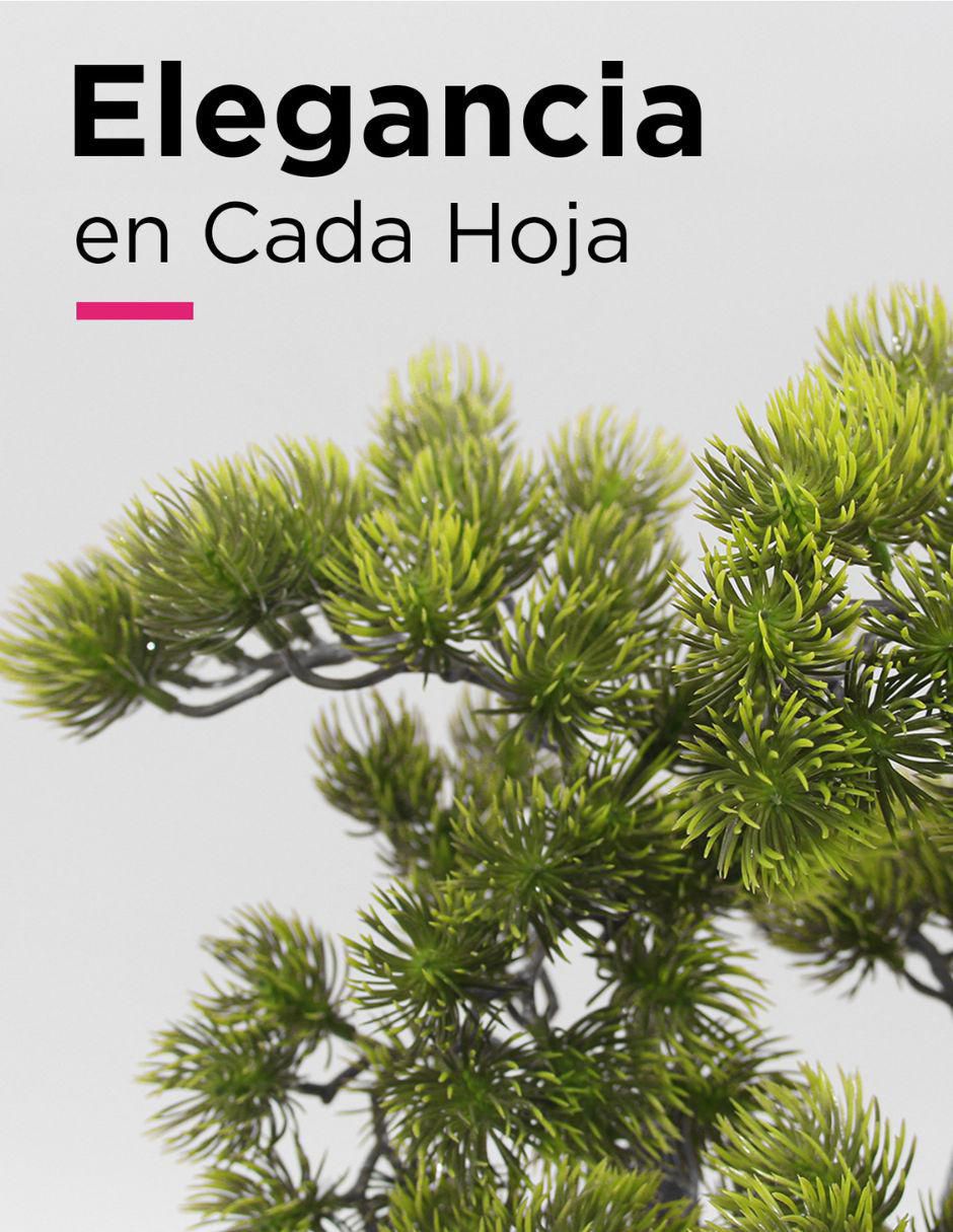 Bonsái bonsai Shizen 50 cm con maceta 2