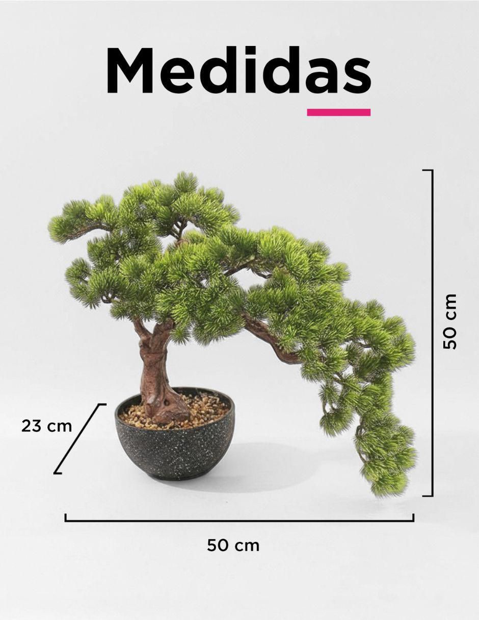 Bonsái bonsai Shizen 50 cm con maceta 7