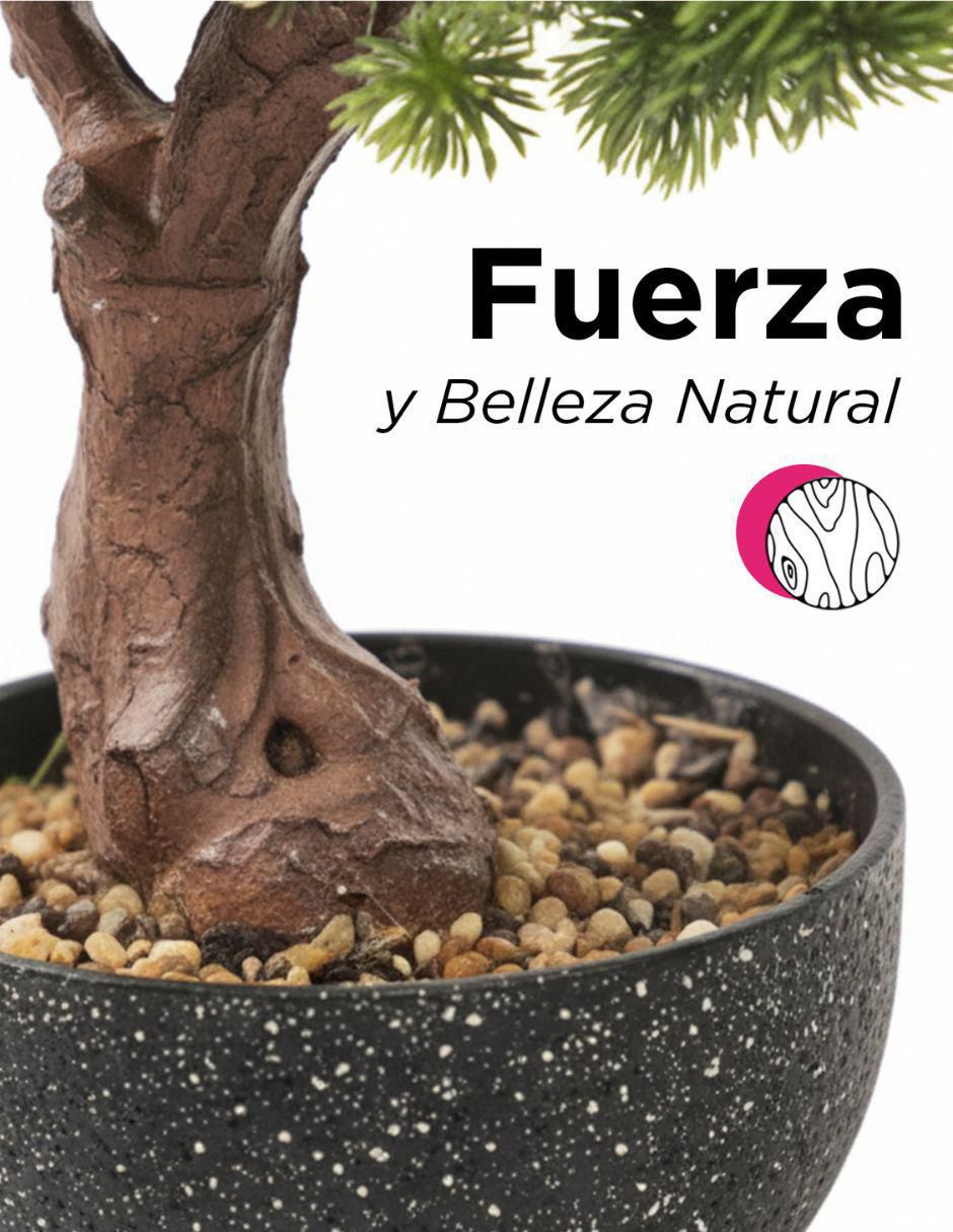 Bonsái bonsai Shizen 50 cm con maceta 3
