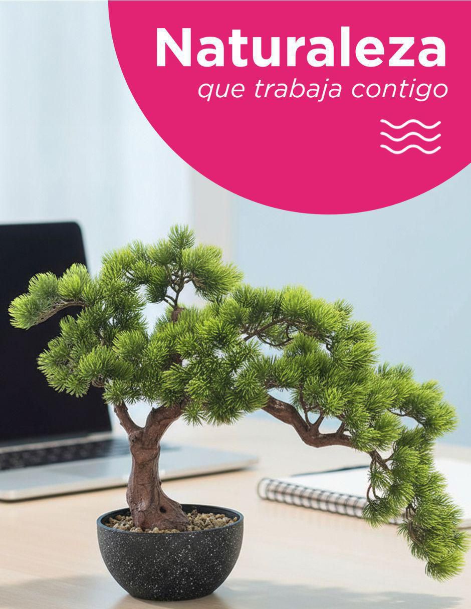 Bonsái bonsai Shizen 50 cm con maceta 4