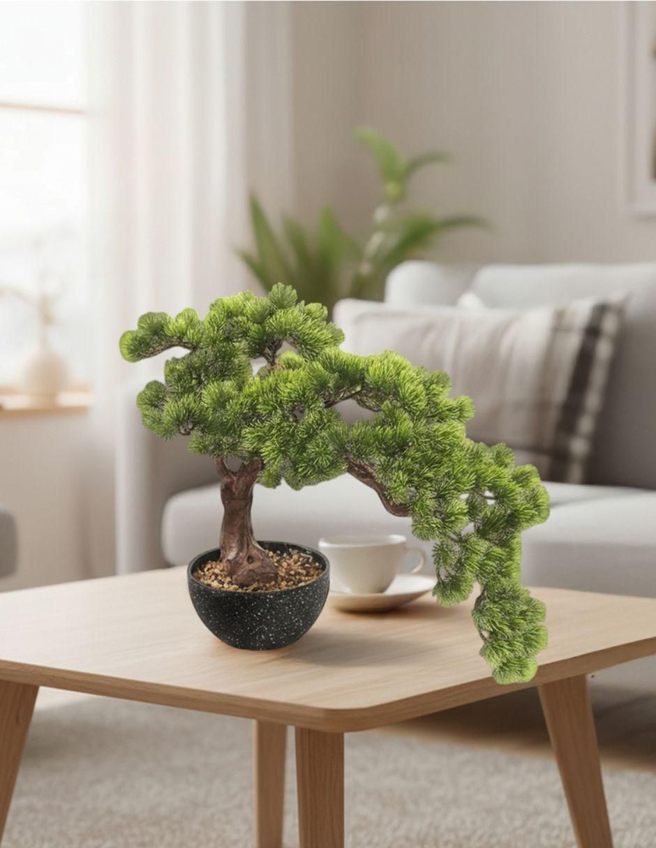 Bonsái bonsai Shizen 50 cm con maceta 5