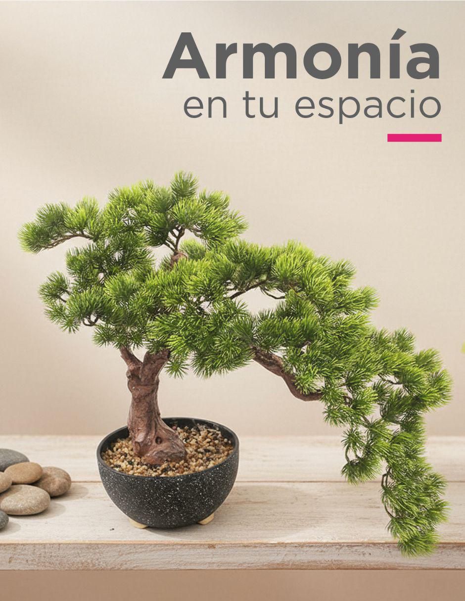 Bonsái bonsai Shizen 50 cm con maceta 6