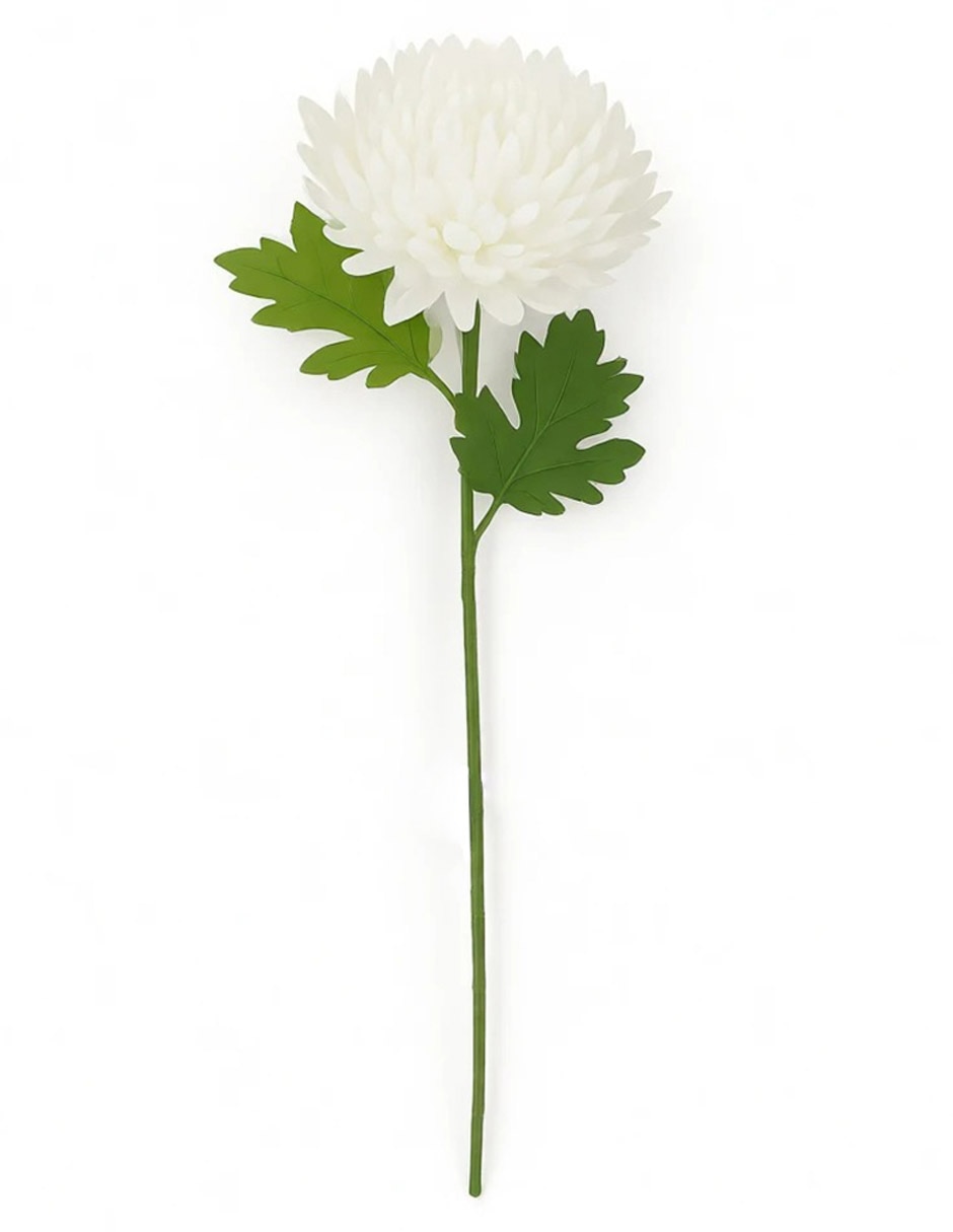 Flor de crisantemo 1