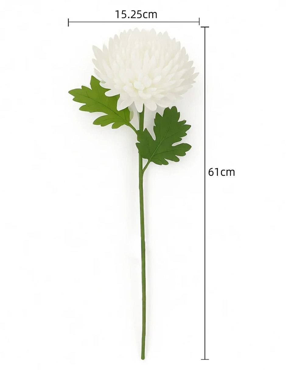 Flor de crisantemo