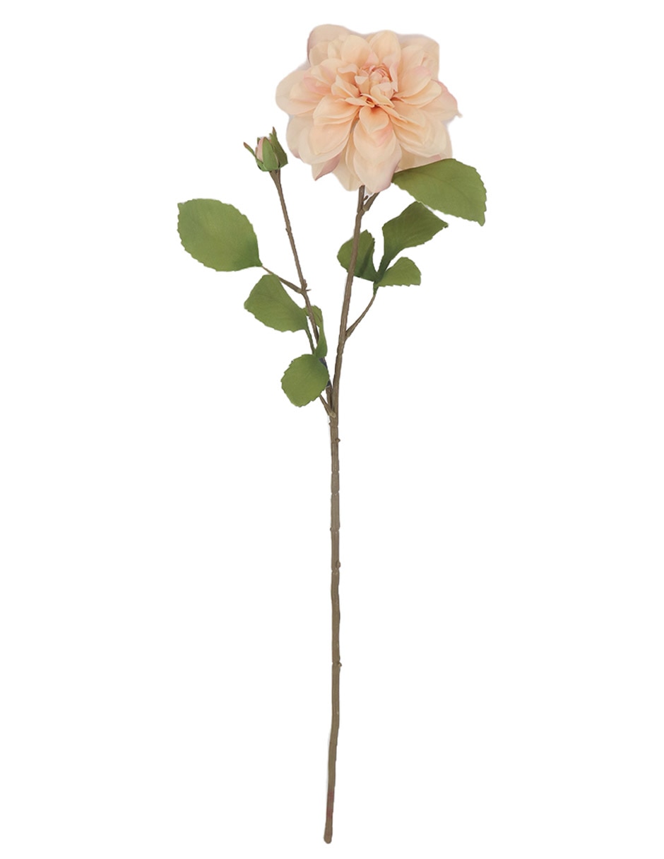 Flor de dalia