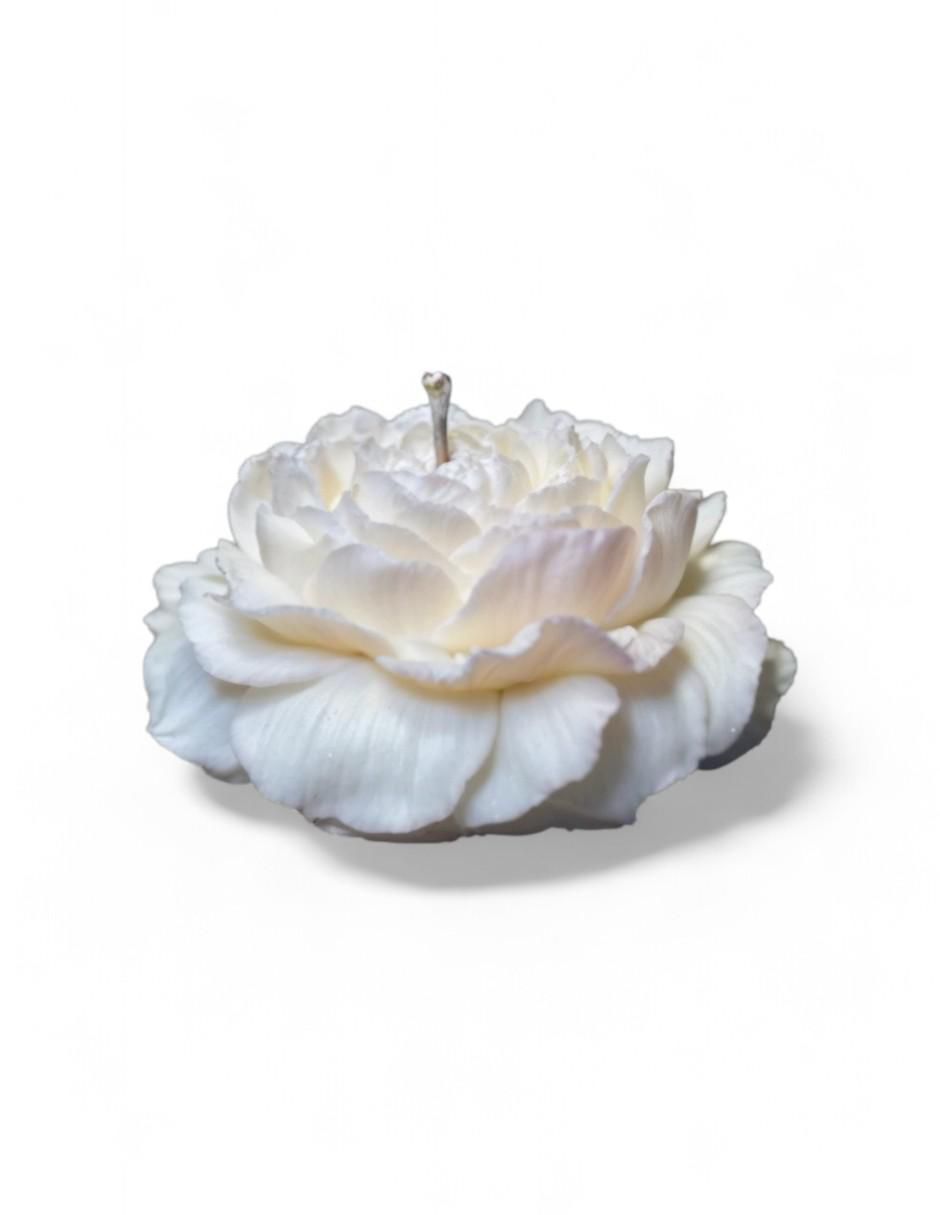 Kit de vela decorativa 20 piezas aroma galleta