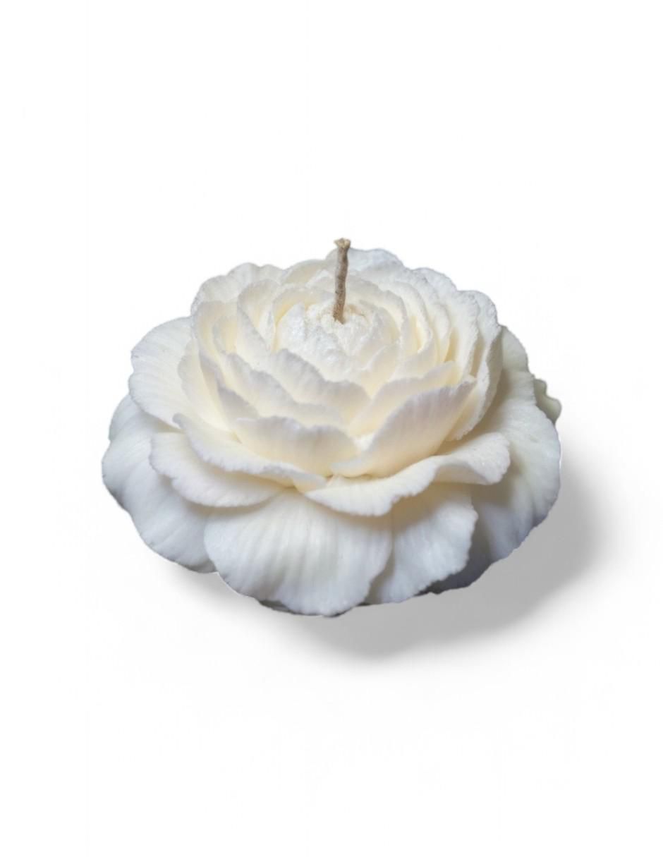 Kit de vela decorativa 20 piezas aroma galleta 3