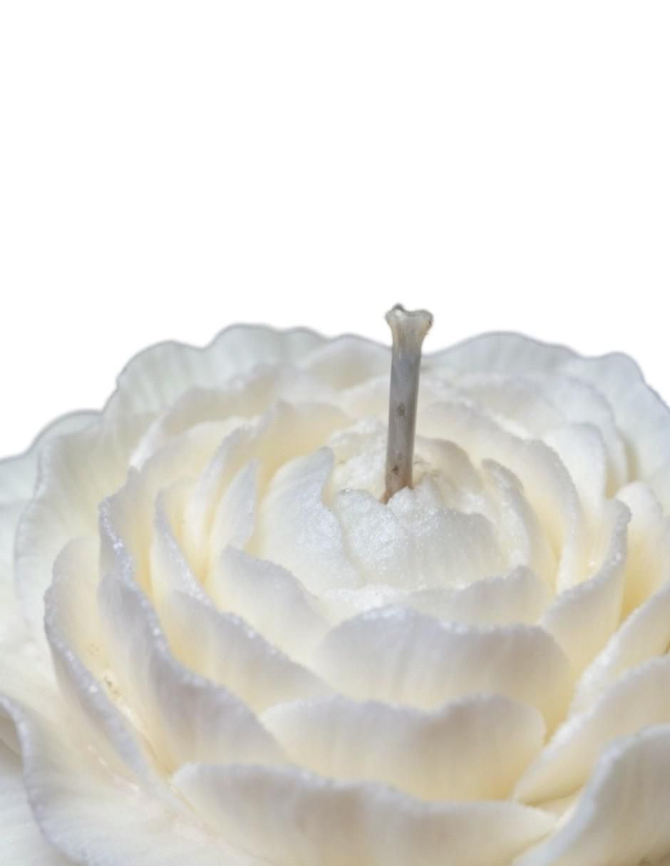 Kit de vela decorativa 20 piezas aroma galleta 2