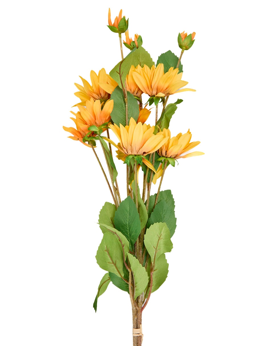 Flor de girasol 2