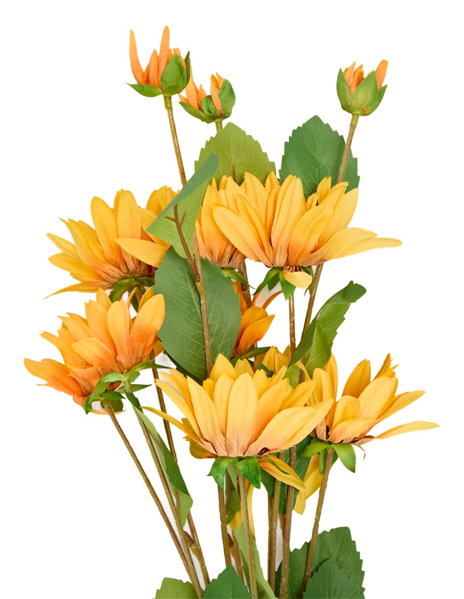 Flor de girasol 3