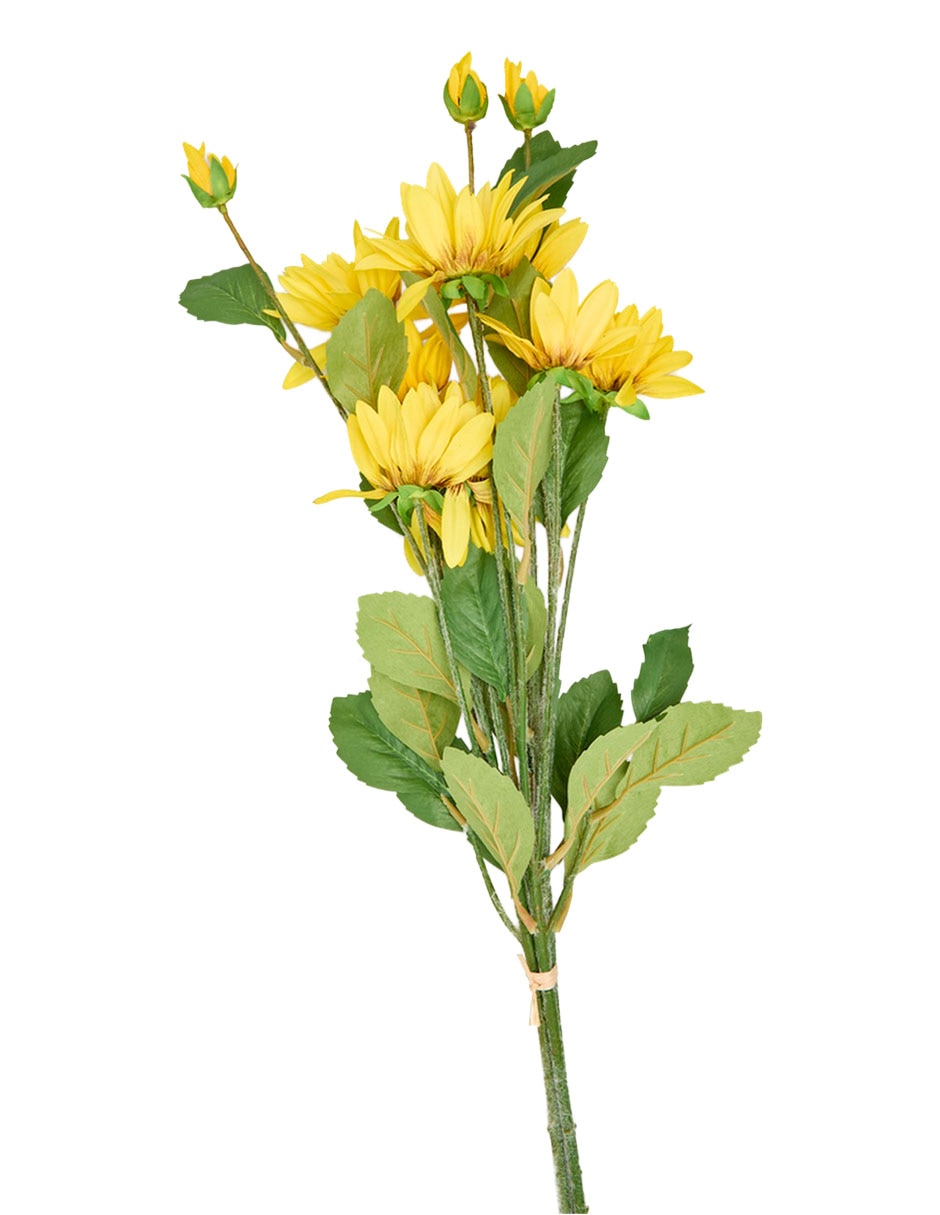 Flor de girasol 2