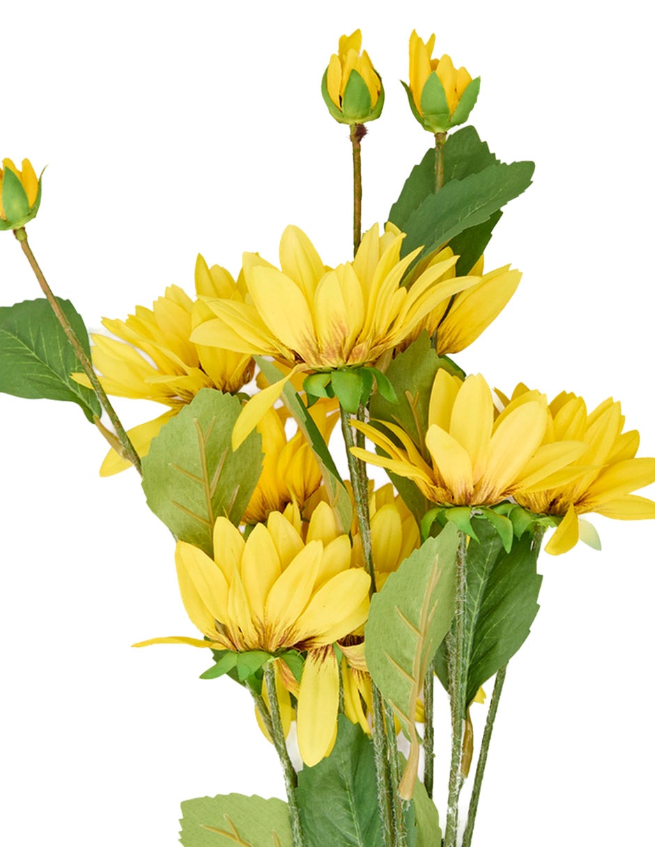 Flor de girasol 3