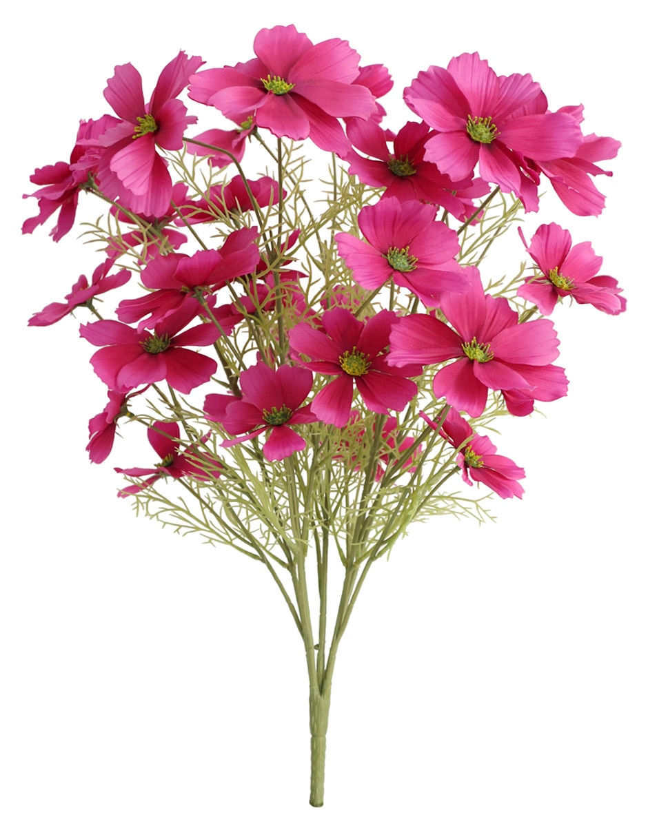 Ramo de Daisy