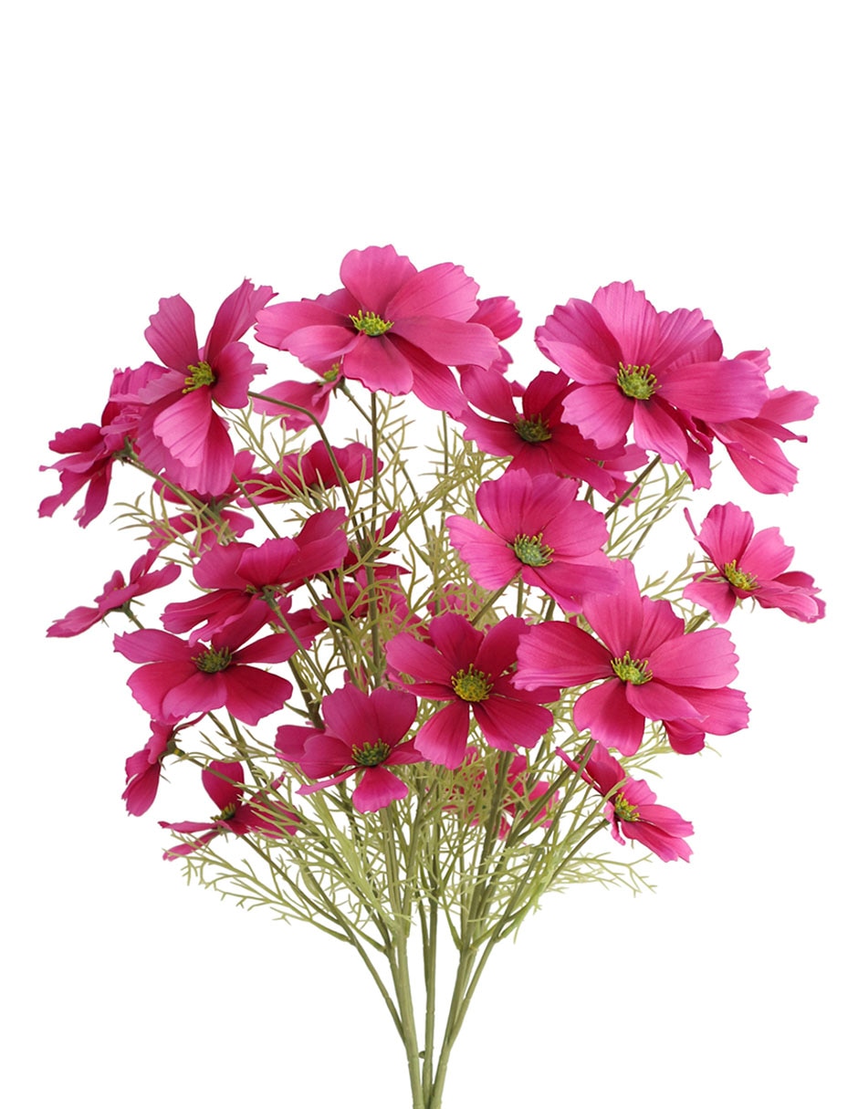 Ramo de Daisy