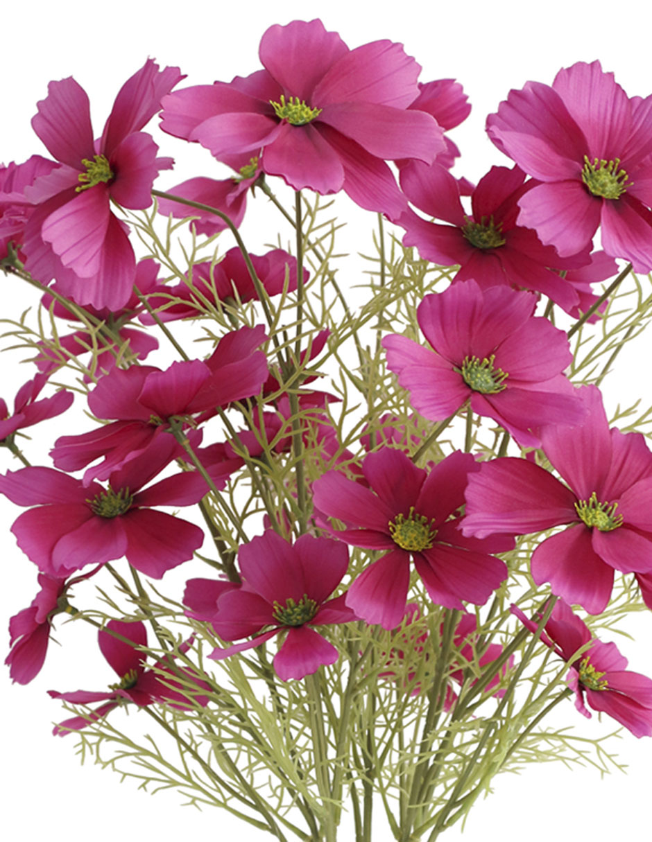 Ramo de Daisy