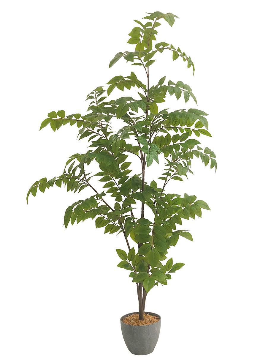 Árbol con maceta Árbol con maceta