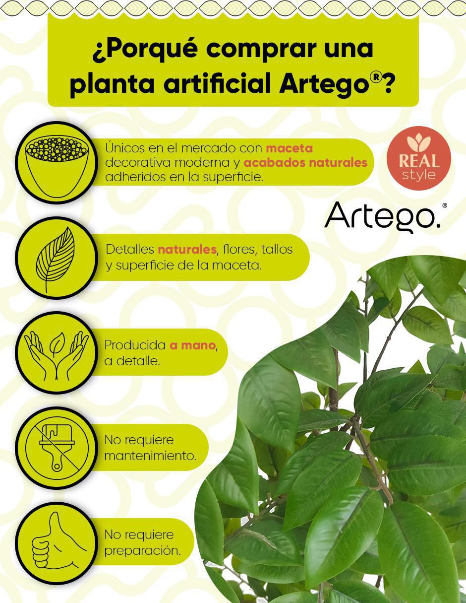 Árbol con maceta 2