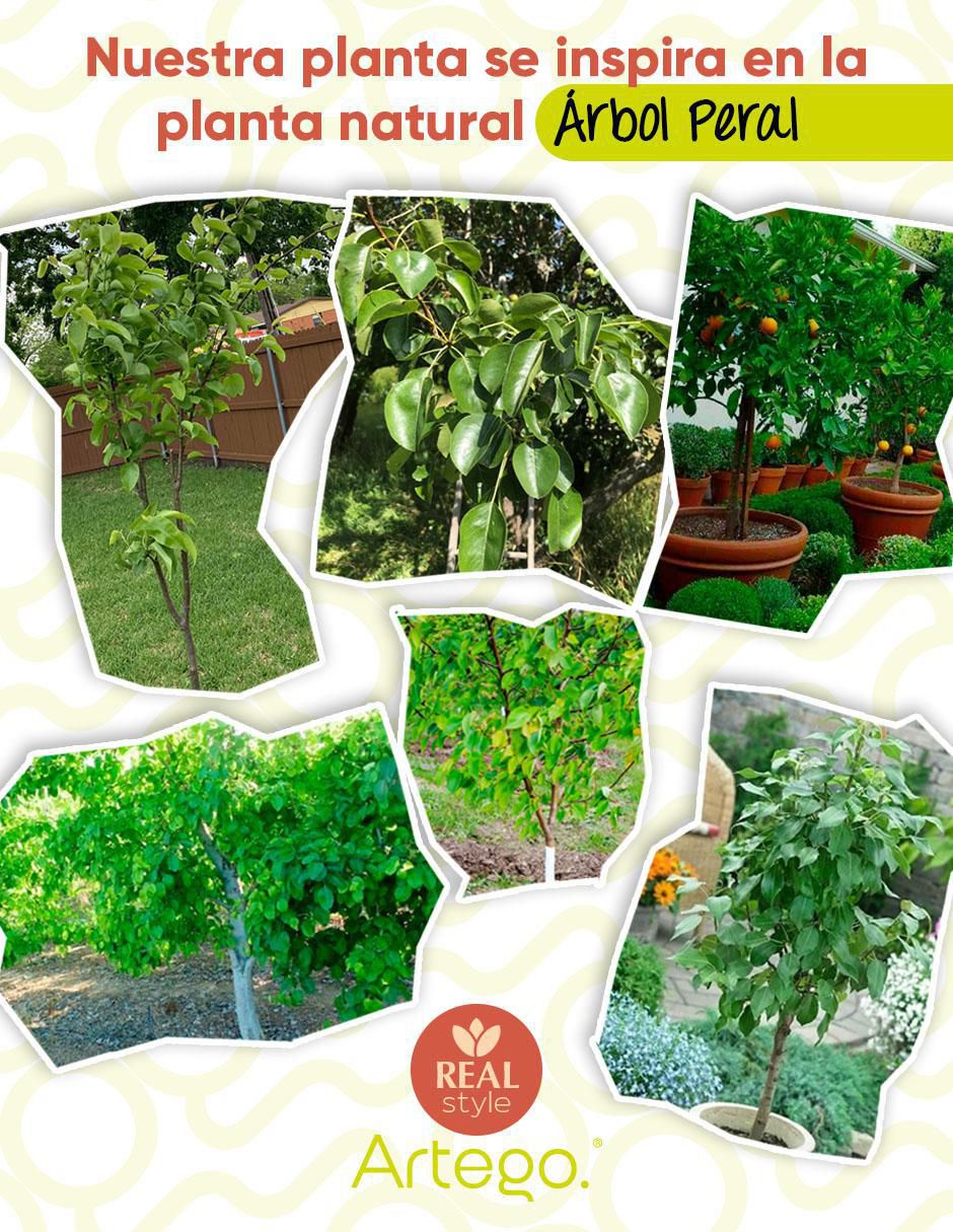 Árbol con maceta 3