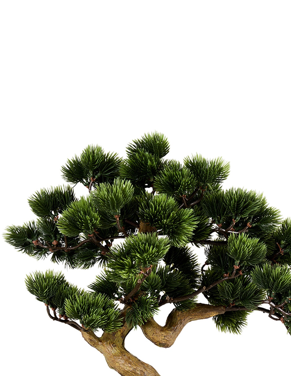 PLANTA, 43 CM, VERDE 3