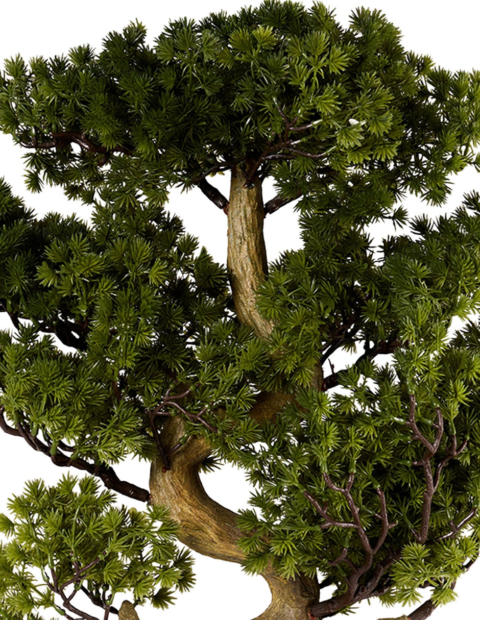 Planta natural 2