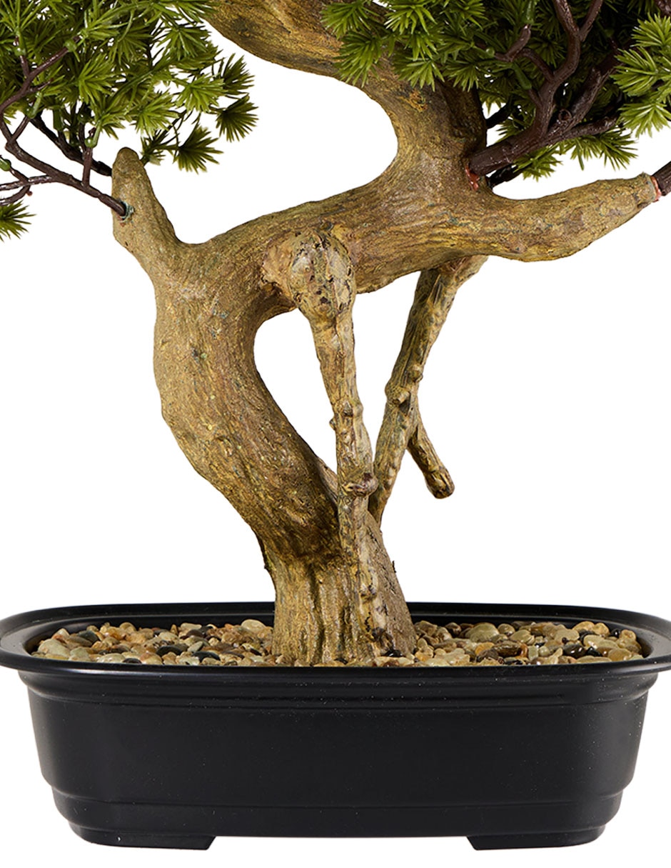 Planta natural 3