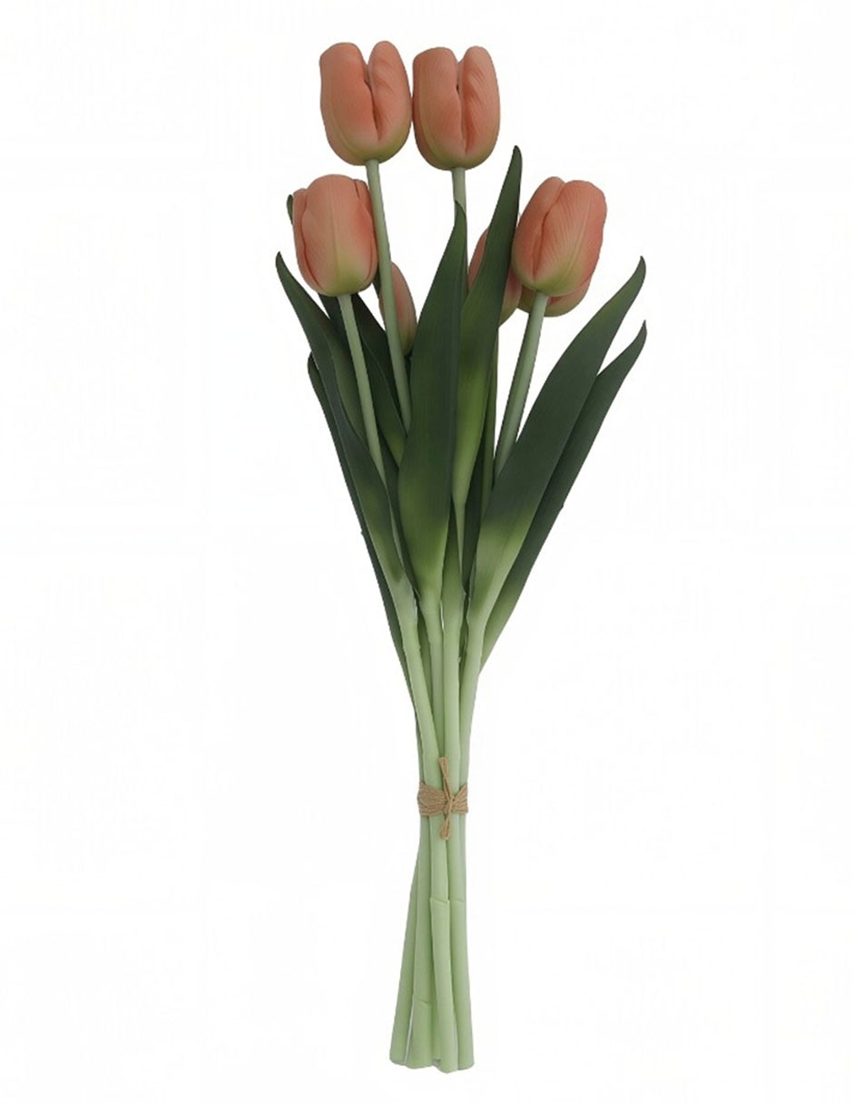 Ramo de tulipán 1