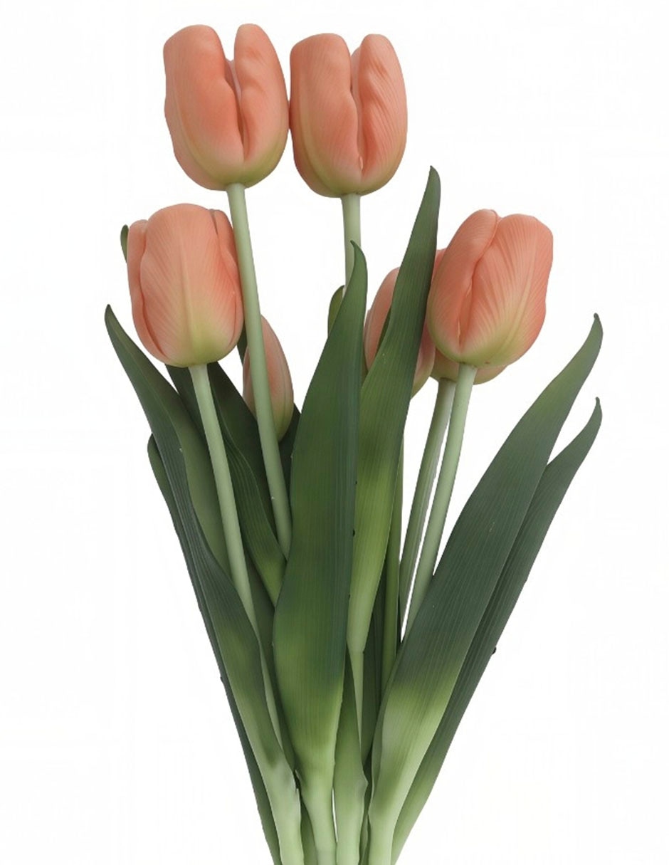 Ramo de tulipán 2