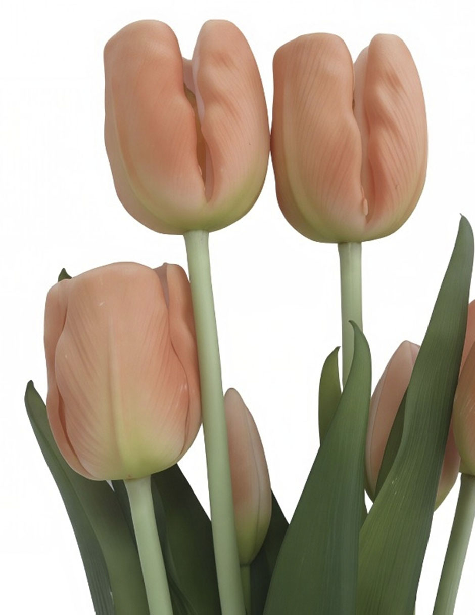 Ramo de tulipán 3