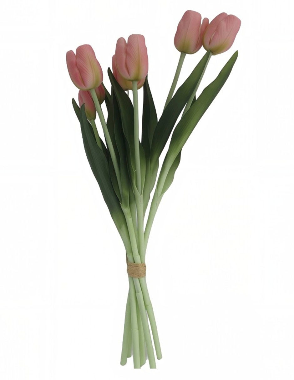 Rosa 3