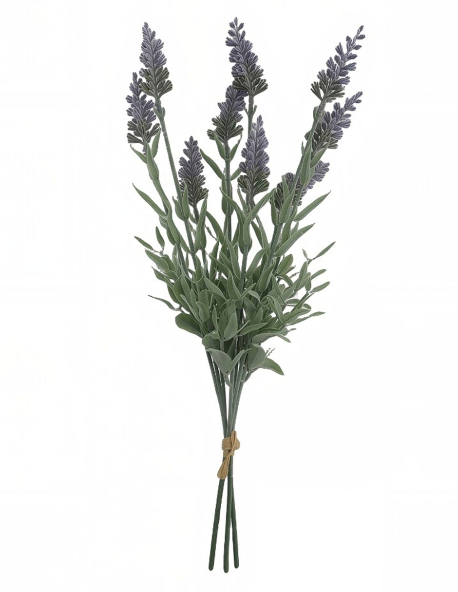 Vara de lavanda Vara de lavanda