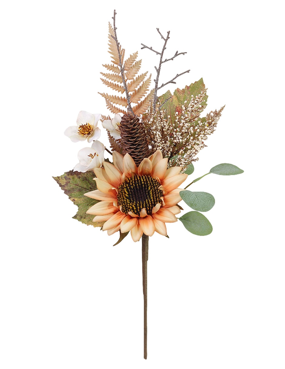 Girasol Girasol