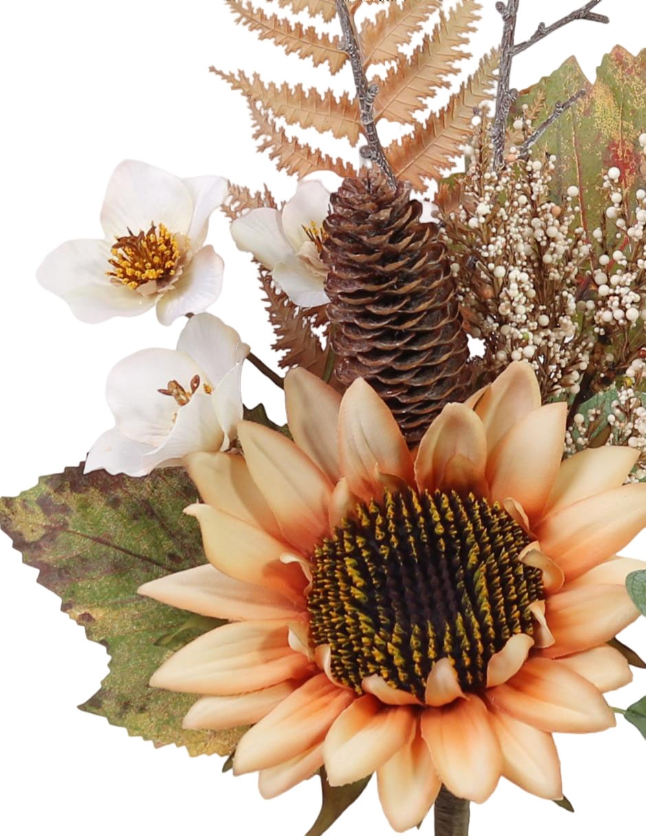 Girasol 2