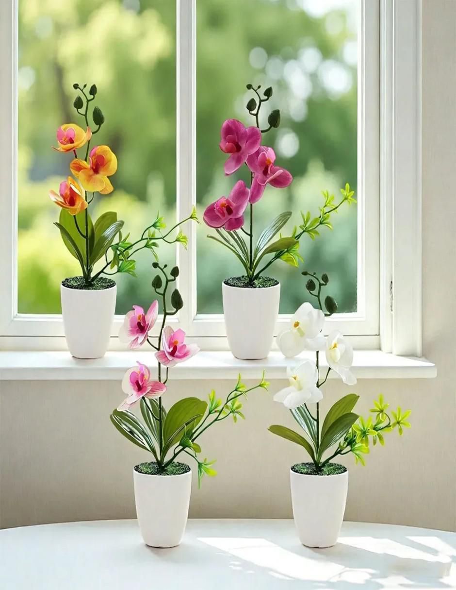 Flor de orquídea