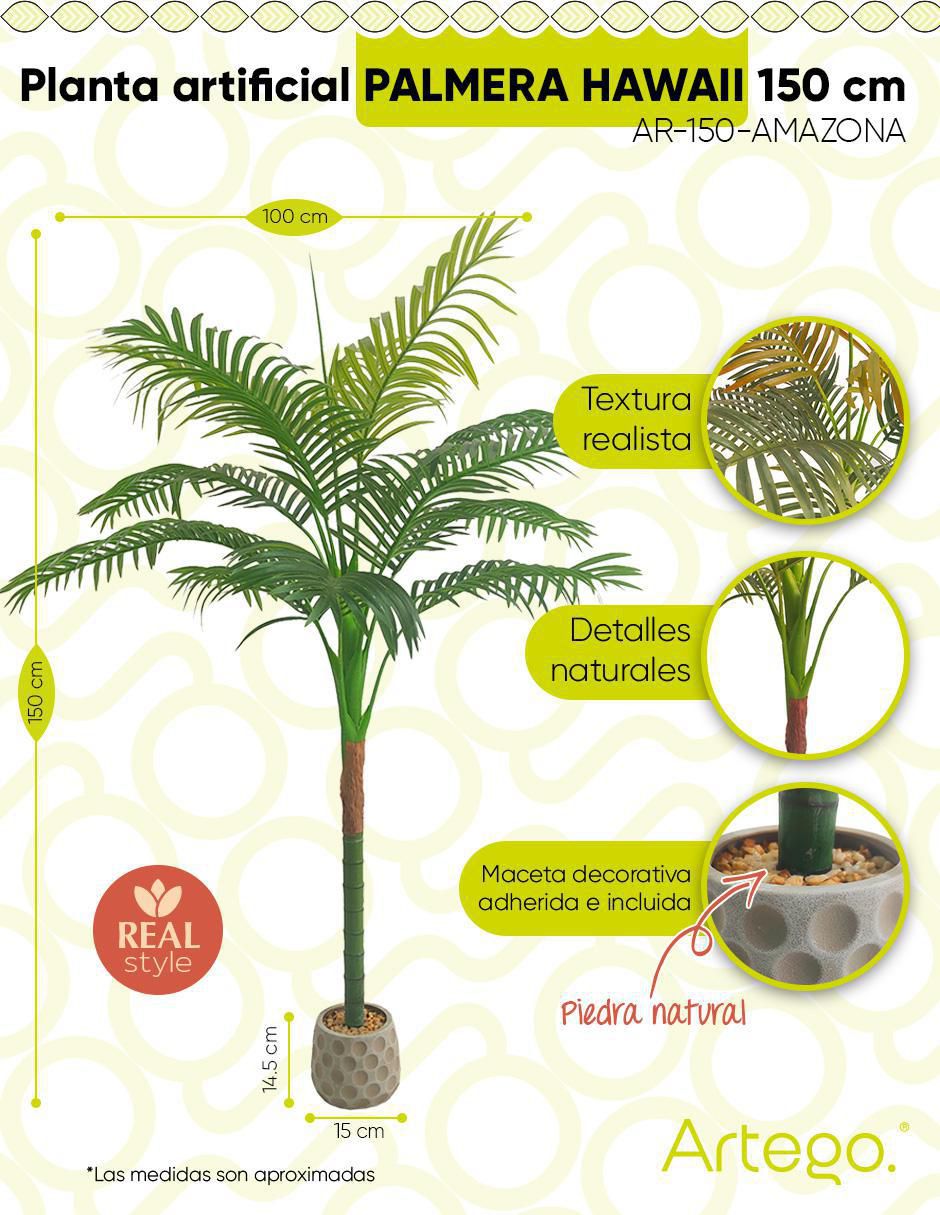 Planta palmera Hawaii Amazona 150 cm con maceta 9