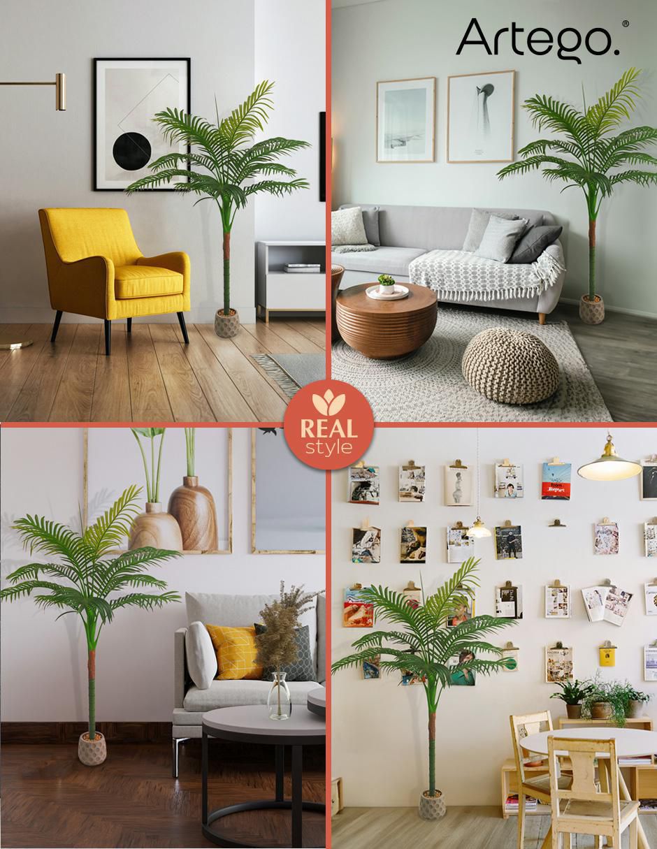 Planta palmera Hawaii Amazona 150 cm con maceta 3