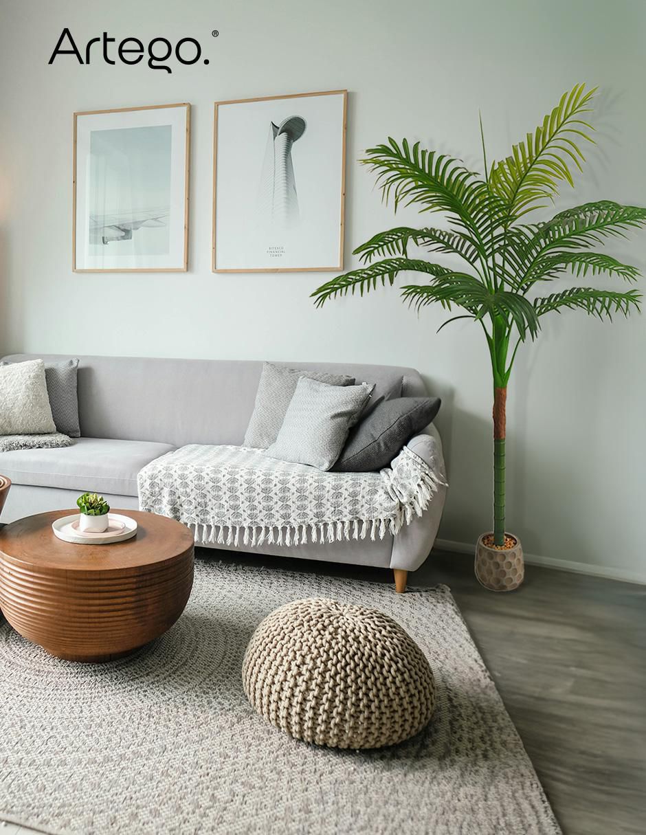Planta palmera Hawaii Amazona 150 cm con maceta 6