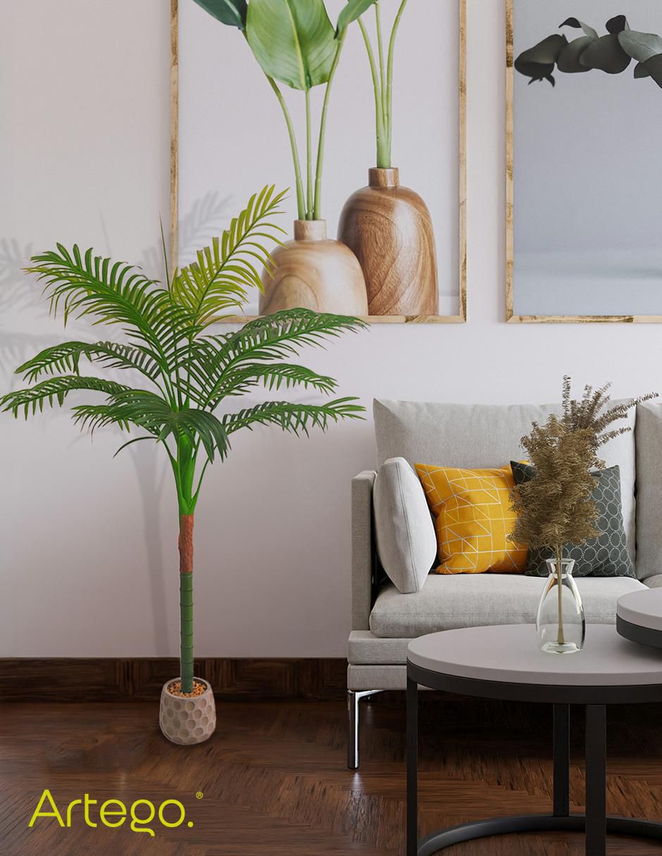 Planta palmera Hawaii Amazona 150 cm con maceta 7