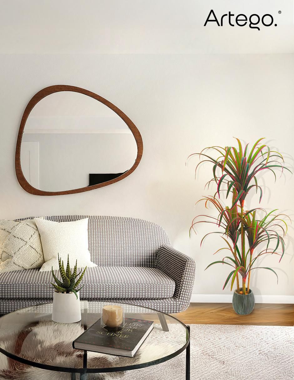Planta dracena Marginata Nayarit 120 cm con maceta 5