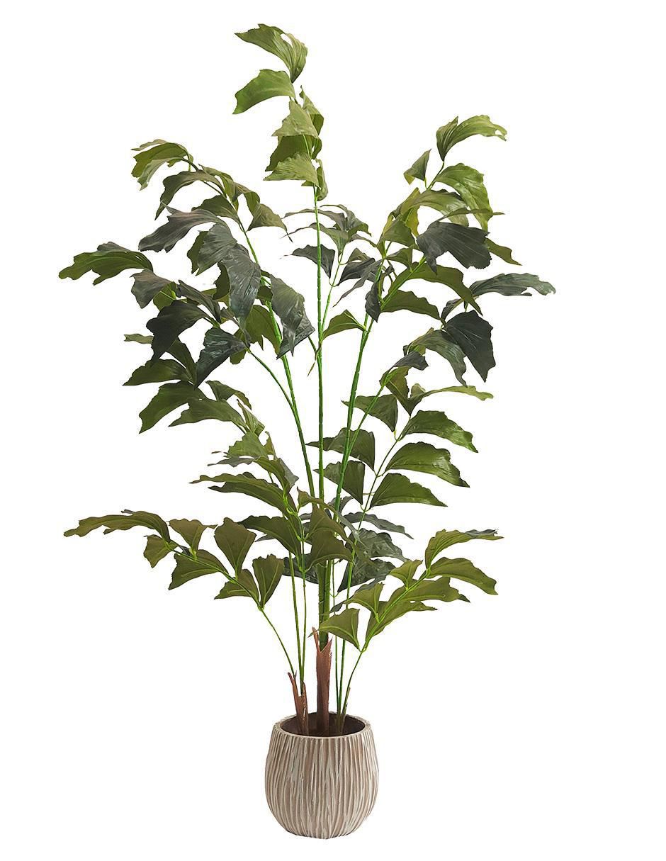 Planta palmera Caryota Fishtail 130 cm con maceta