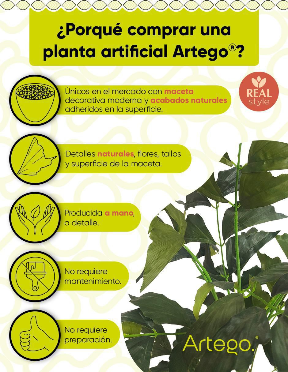 Planta palmera Caryota Fishtail 130 cm con maceta 2