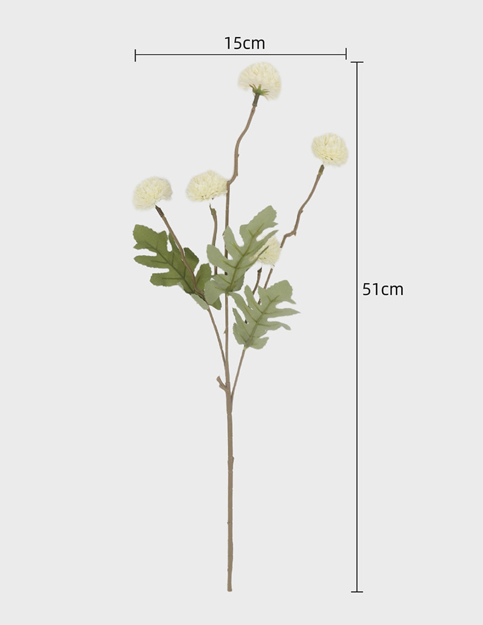 Flor de Frangipani 4