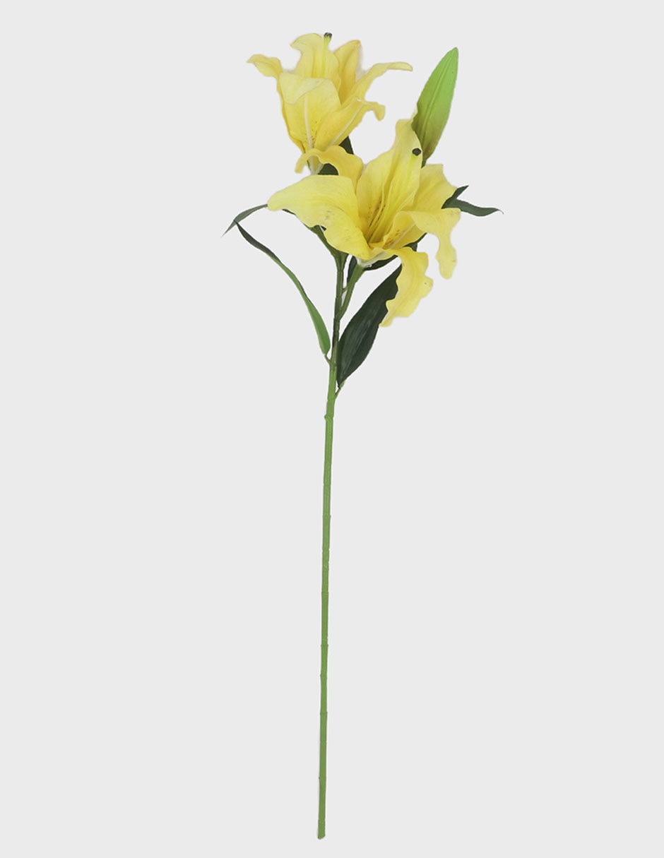 Flor de Lily 1