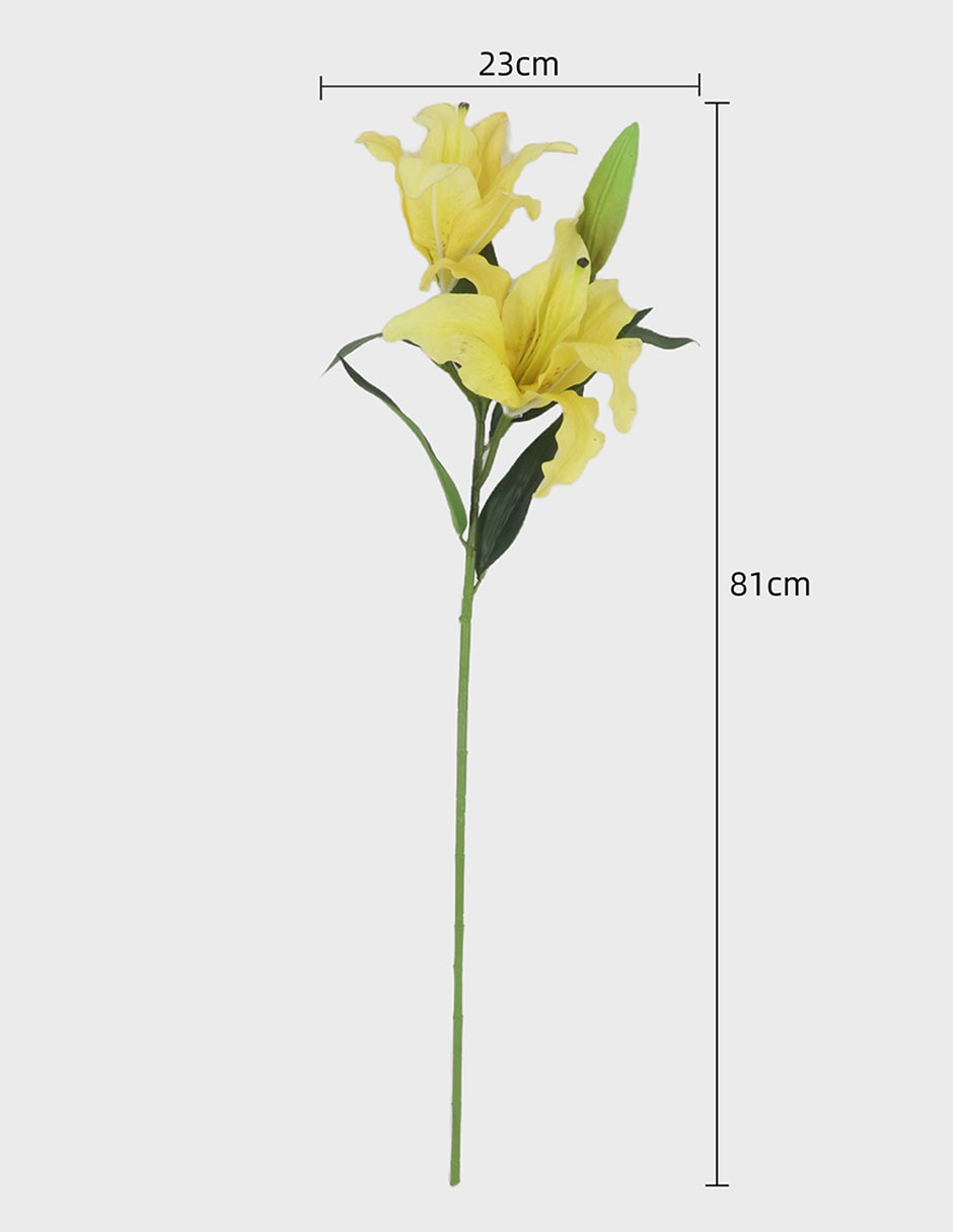Flor de Lily 4