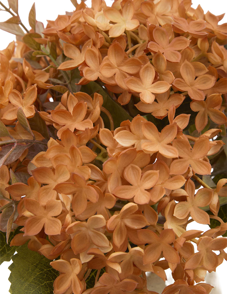 Flores de hortencia 2