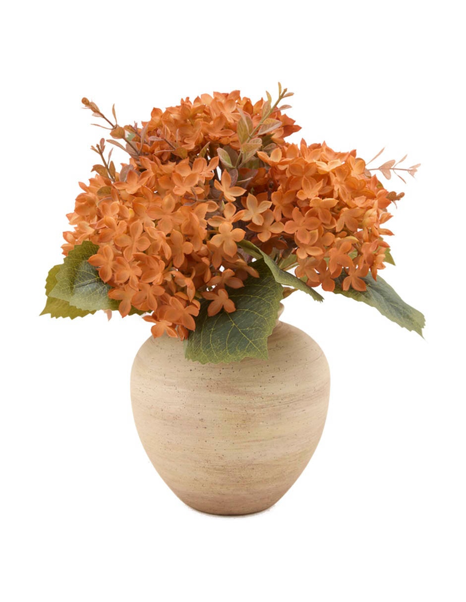 Flores de hortencia 5