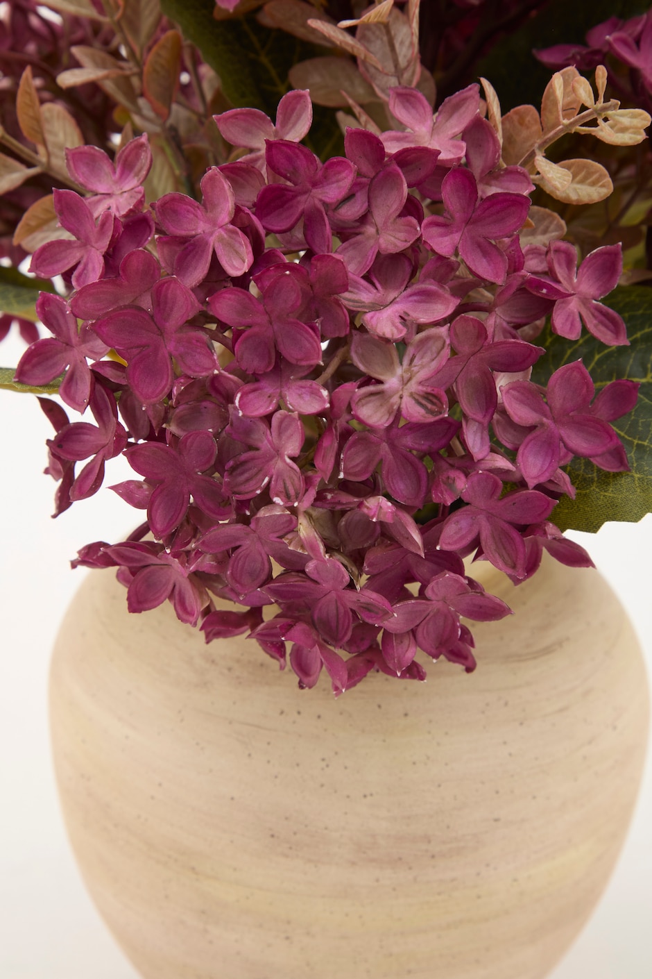 Flor de hortensia 2